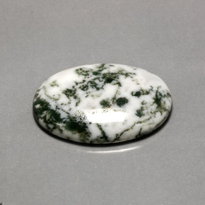 Ágata dendrítica multicolor natural de 16,20 ct, corte óvalo, opaco