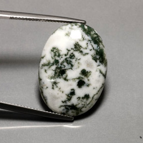Ágata dendrítica multicolor natural de 16,20 ct, corte óvalo, opaco