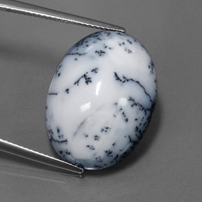 Ágata dendrítica multicolor natural de 15,11 ct, corte óvalo, opaco