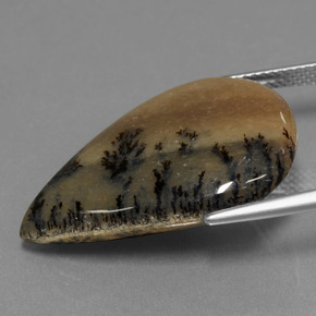 Ágata Dendrítica Multicolor natural de 19.92 ct, En forma de pera, Opaco