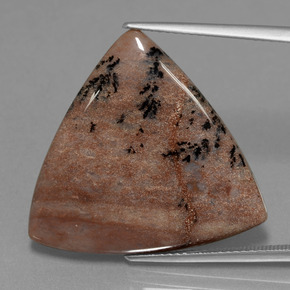 Ágata dendrítica multicolor natural de 19,37 ct, trillón, opaco