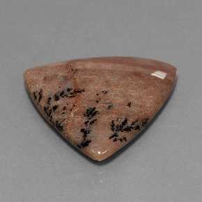 Ágata dendrítica multicolor natural de 19,37 ct, trillón, opaco
