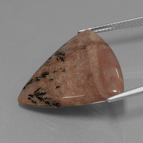 Ágata dendrítica multicolor natural de 19,37 ct, trillón, opaco