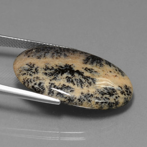 Ágata Dendrítica Multicolor natural de 25.50 ct, Corte Óvalo, Opaco