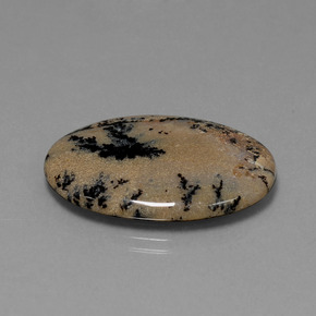 Ágata Dendrítica Multicolor natural de 21.34 ct, Corte Óvalo, Opaco
