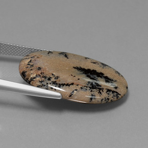 Ágata Dendrítica Multicolor natural de 21.34 ct, Corte Óvalo, Opaco