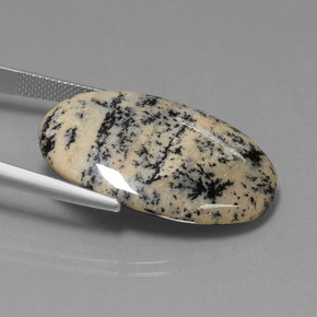 Ágata Dendrítica Multicolor natural de 28.19 ct, Corte Óvalo, Opaco