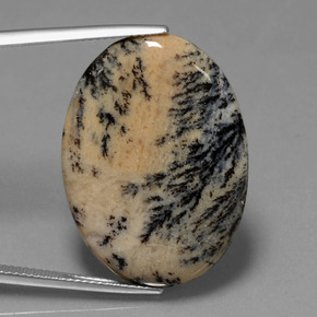 Ágata dendrítica multicolor natural de 23,90 ct, corte óvalo, opaco