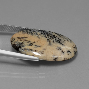 Ágata dendrítica multicolor natural de 23,90 ct, corte óvalo, opaco