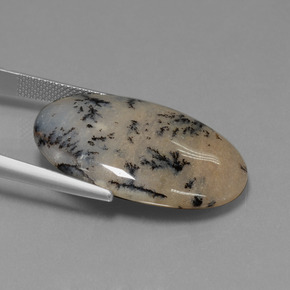 Ágata dendrítica multicolor natural de 26,13 ct, corte óvalo, opaco