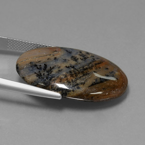 Ágata Dendrítica Multicolor natural de 31.59 ct, Corte Óvalo, Opaco