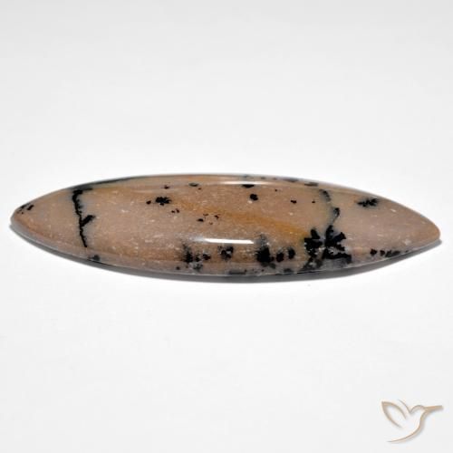 Ágata dendrítica Brown-Black natural de 37.71 ct, Marquesa, Opaco