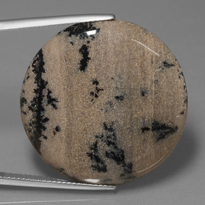 Ágata Dendrítica Multicolor natural de 36.61 ct, Corte Redondo, Opaco