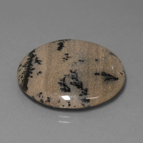 Ágata Dendrítica Multicolor natural de 36.61 ct, Corte Redondo, Opaco