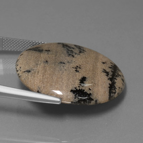 Ágata Dendrítica Multicolor natural de 36.61 ct, Corte Redondo, Opaco