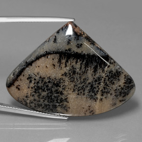 Ágata dendrítica multicolor natural de 44,44 ct, forma elegante, opaco