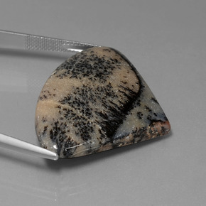 Ágata dendrítica multicolor natural de 44,44 ct, forma elegante, opaco