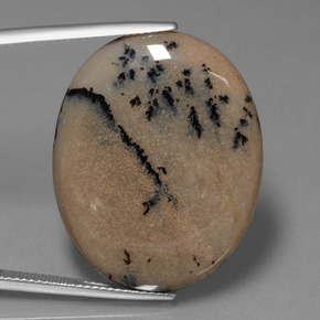 Ágata Dendrítica Multicolor natural de 35.89 ct, Corte Óvalo, Opaco