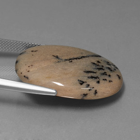 Ágata Dendrítica Multicolor natural de 35.89 ct, Corte Óvalo, Opaco