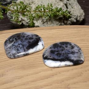 Gemas de ágata dendrítica multicolor natural de 88,35 ct, forma elegante, translúcido