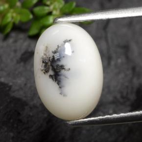 Ágata Dendrítica Blanco oscuro natural de 2.70 ct, Corte Óvalo, Opaco