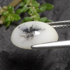 Ágata Dendrítica Blanco oscuro natural de 2.70 ct, Corte Óvalo, Opaco