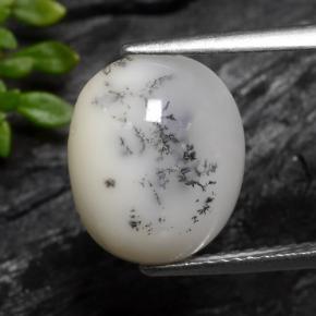 Ágata Dendrítica Blanco oscuro natural de 3.70 ct, Corte Óvalo, Translúcido