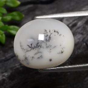 Ágata Dendrítica Blanco oscuro natural de 3.70 ct, Corte Óvalo, Translúcido