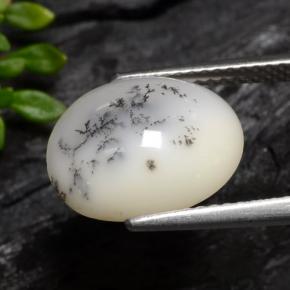 Ágata Dendrítica Blanco oscuro natural de 3.70 ct, Corte Óvalo, Translúcido