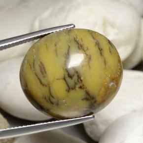 Ágata dendrítica multicolor natural de 30,23 ct, corte óvalo, opaco