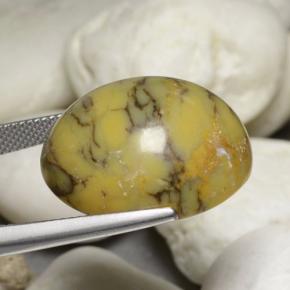 Ágata dendrítica multicolor natural de 30,23 ct, corte óvalo, opaco