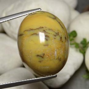 Ágata Dendrítica Multicolor natural de 27.27 ct, Corte Óvalo, Opaco