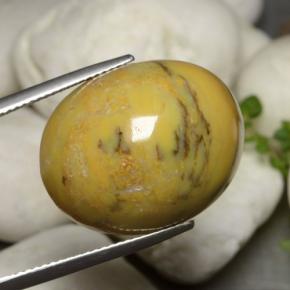 Ágata Dendrítica Multicolor natural de 27.27 ct, Corte Óvalo, Opaco