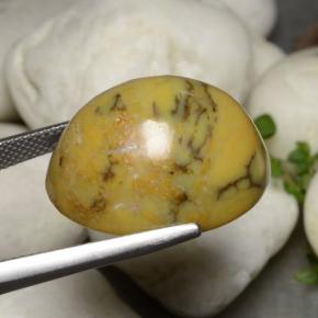 Ágata Dendrítica Multicolor natural de 27.27 ct, Corte Óvalo, Opaco