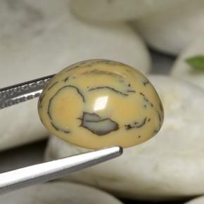 Ágata Dendrítica Multicolor natural de 6.05 ct, Corte Óvalo, Opaco