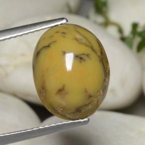 Ágata dendrítica multicolor natural de 5,40 ct, corte óvalo, opaco