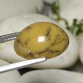 Ágata dendrítica multicolor natural de 5,40 ct, corte óvalo, opaco