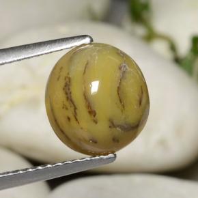 Ágata dendrítica multicolor natural de 2,63 ct, corte óvalo, opaco