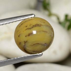 Ágata dendrítica multicolor natural de 2,63 ct, corte óvalo, opaco