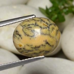 Ágata dendrítica multicolor natural de 3,86 ct, corte óvalo, opaco