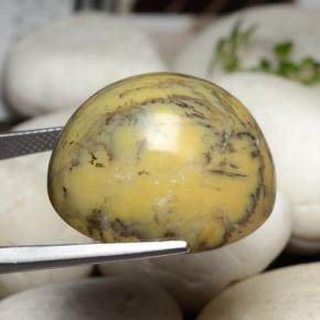 Ágata Dendrítica Multicolor natural de 44.92 ct, Corte Óvalo, Opaco