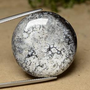 Ágata dendrítica multicolor natural de 44,26 ct, corte redondo, opaco