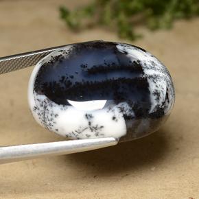 Ágata Dendrítica Multicolor natural de 42.78 ct, Corte Óvalo, Opaco