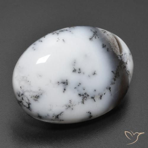 Ágata dendrítica Multicolor natural de 15.40 ct, Ovalada, Opaco