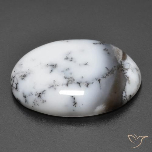 Ágata dendrítica Multicolor natural de 15.40 ct, Ovalada, Opaco