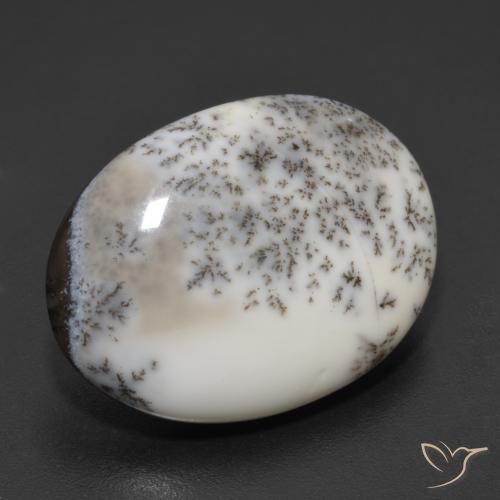 Ágata dendrítica Multicolor natural de 9.34 ct, Ovalada, Opaco