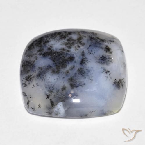 Ágata dendrítica Multicolor natural de 18.18 ct, Forma Cojín, Translúcido