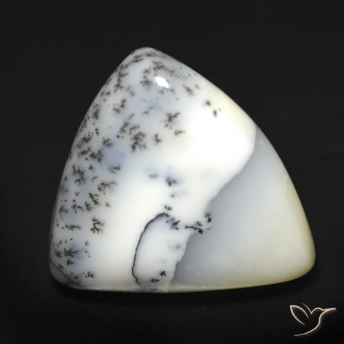 12.51ct Natural Blanco con negro Ágata dendrítica, Trillón, Translúcido