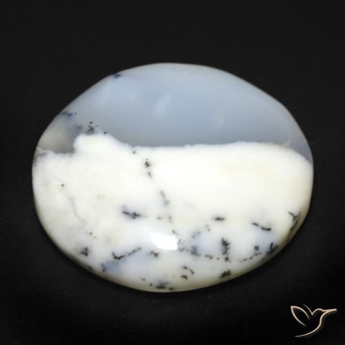 Ágata dendrítica Blanco con negro natural de 25.49 ct, Redondo, Translúcido