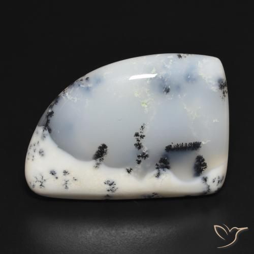 20.32ct Natural Blanco con negro Ágata dendrítica, Elegante, Opaco